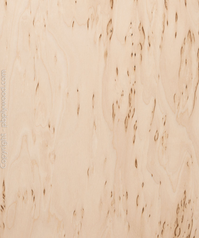 Birch Burl Veneered MR Chipboard Peter Benson Plywood Ltd